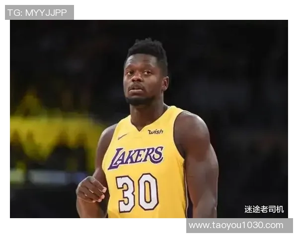 朱利叶斯兰德尔：从潜力新星到NBA全明星的蜕变之路